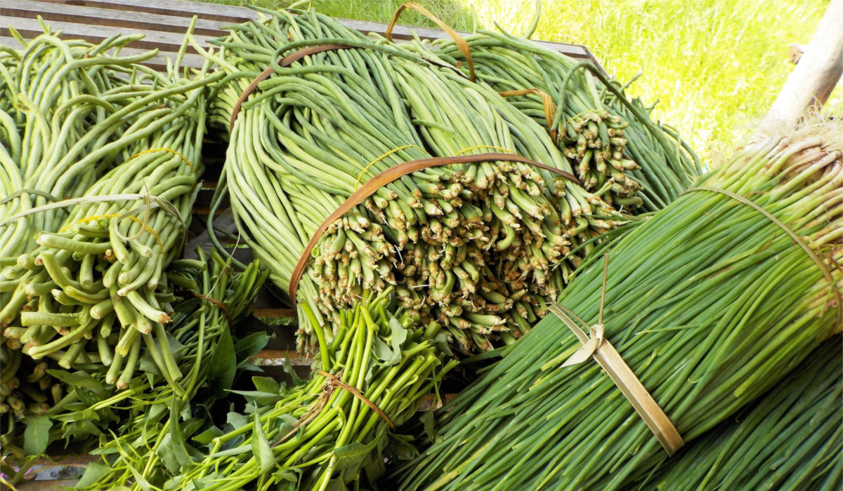 Cambodia Project - Sustainable Farming Methodologies