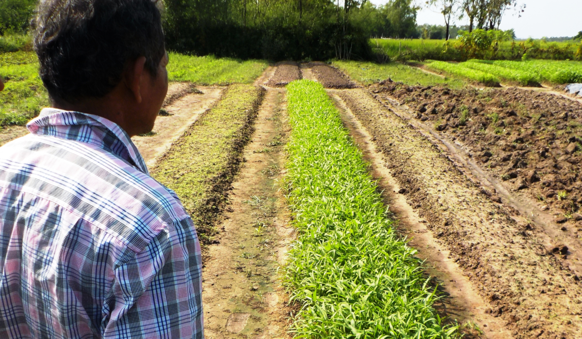 Cambodia Project - Technical Sustainable Agriculture