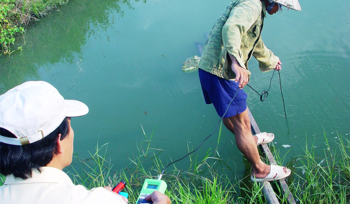 Southern-Vietnam-Project-Local-Fish-Farmers