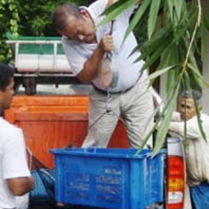 Weighing the catch